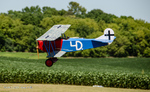 NAMFI2021-081.jpg