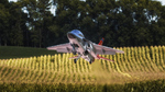 IMG_9483-Edit-Edit.jpg