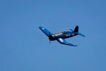 IMG_9852.jpg