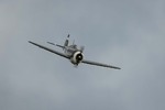 NAMFI2022-51.jpg