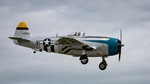NAMFI2022-61.jpg