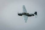NAMFI2022-94.jpg