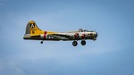 NAMFI2022-102.jpg