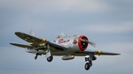 NAMFI2022-105.jpg