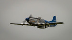NAMFI2022-169.jpg